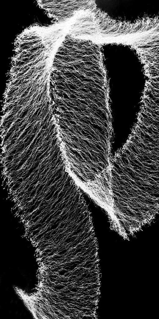 Spray.Bike Cobweb Splatter