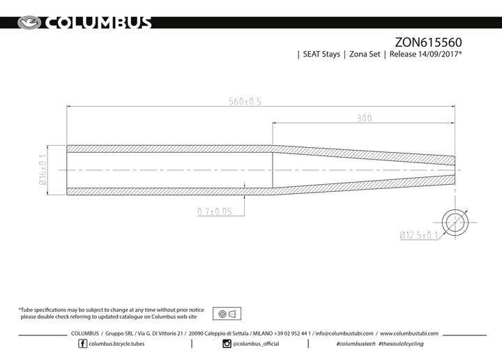 ZON615560 - Columbus Tubing Life seat stays - OD tapers from 16mm to 12.5mm - .7 wall - length = 560